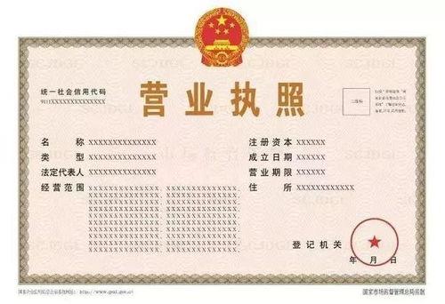 头条营业执照注册流程,轻松掌握一站式办理指南