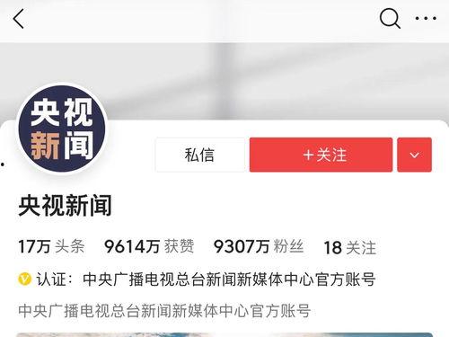 中央新闻网今日头条,最新热点事件深度解读”