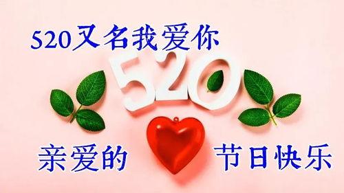 头条日签祝福语,温暖心灵的小确幸