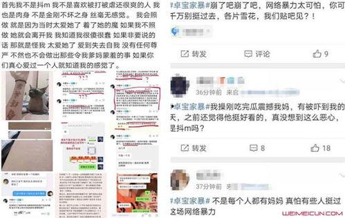 卓宝网红反转,从爆红到反转，揭秘背后的真相与成长