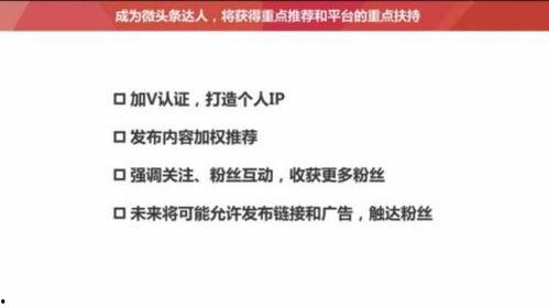 为什么最近头条都是视频,头条内容全面视频化解析