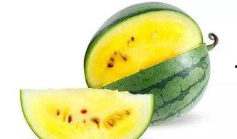 菏泽吃瓜网站,揭秘菏泽本土美食与趣闻轶事