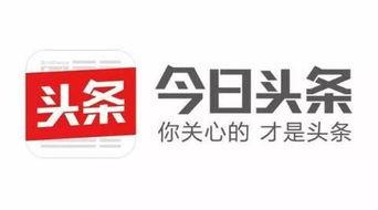 头条自媒体怎么发稿,轻松打造爆款内容
