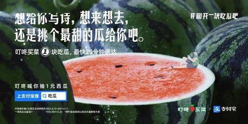 初秋吃瓜文案怎么写,解锁秋季美味新选择