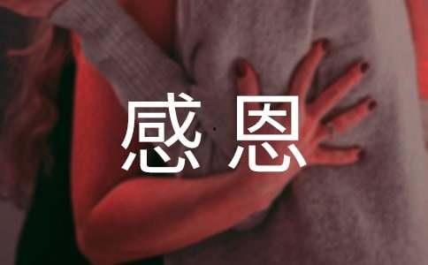 感谢头条的励志语言,励志语言的温暖力量