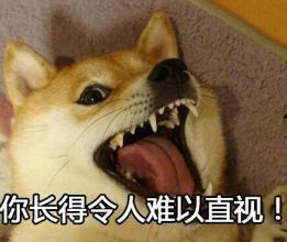 头条宠物表情,萌宠瞬间，治愈你的每一天