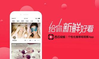 西瓜视频发头条会怎样,轻松吸引百万流量！