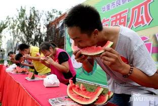 吃瓜比赛如何组织