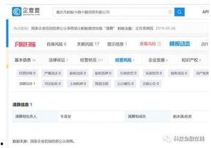 头条财经类号,揭秘市场动态，洞察经济脉搏