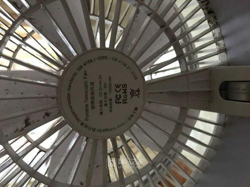 桌面台灯网红,揭秘桌面台灯网红背后的魅力