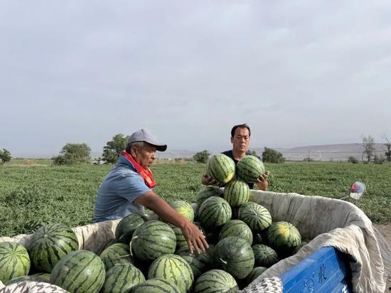 国外捡垃圾吃瓜,拾荒者与瓜果盛宴的奇妙邂逅